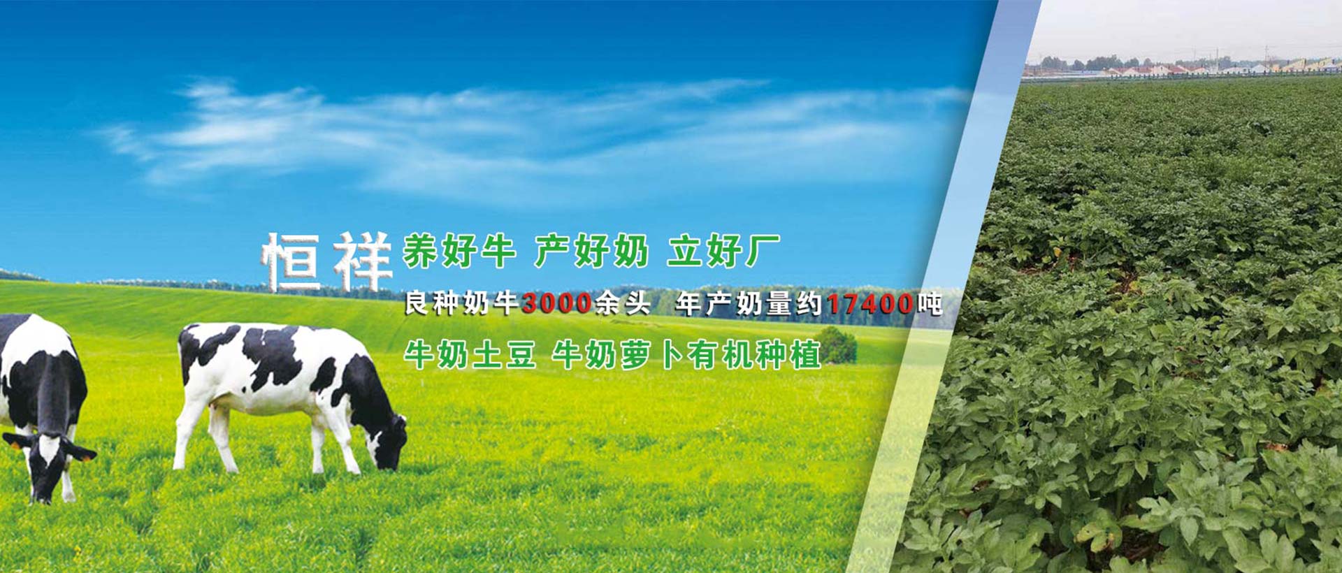 潍坊恒祥养殖有限公司